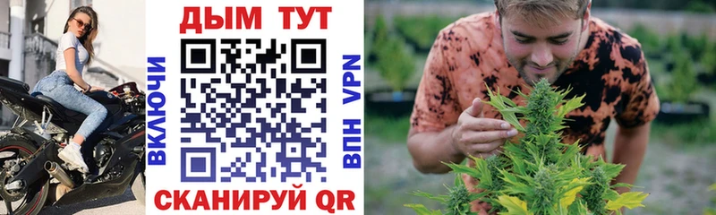 Продажа наркотиков Аргун МАРИХУАНА  АМФ  Псилоцибиновые грибы  Меф мяу мяу 