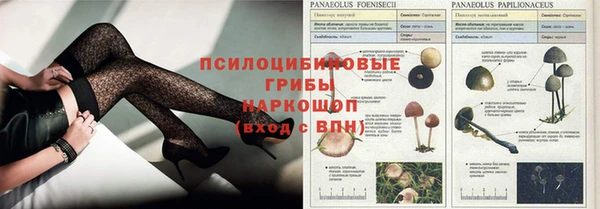 синтетический гашиш Алексин