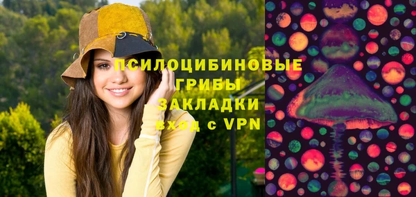Альфа ПВП Алзамай