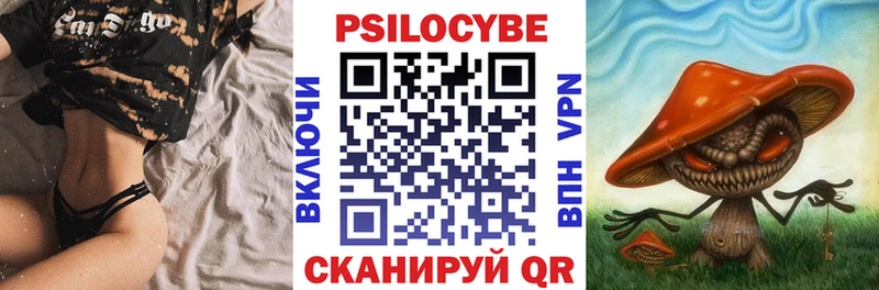 купить  цена  Аргун  Галлюциногенные грибы мицелий 