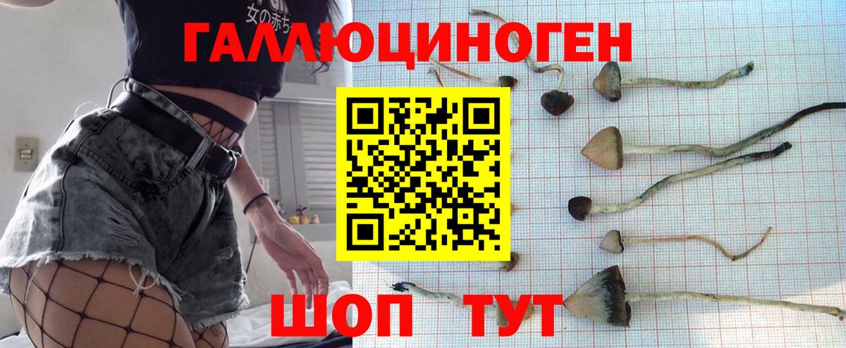 Аргун  Псилоцибиновые грибы мухоморы  Вход с VPN 