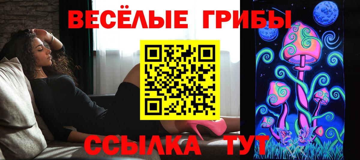 Псилоцибиновые грибы Psilocybine cubensis Аргун
